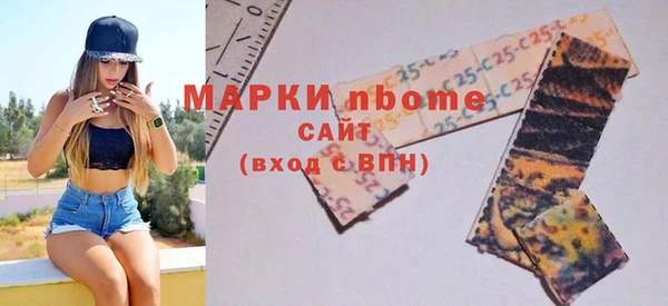сатива Бородино