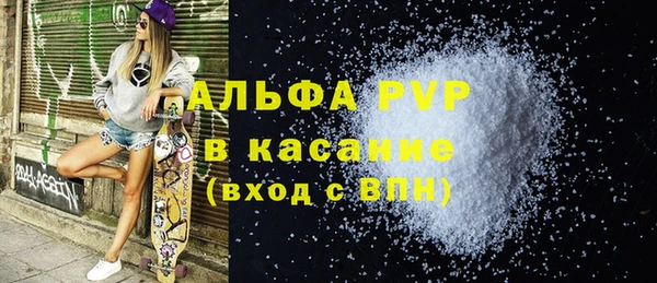 сатива Бородино
