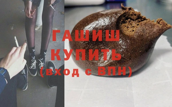 сатива Бородино