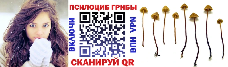 Псилоцибиновые грибы Magic Shrooms  kraken вход  Краснотурьинск 